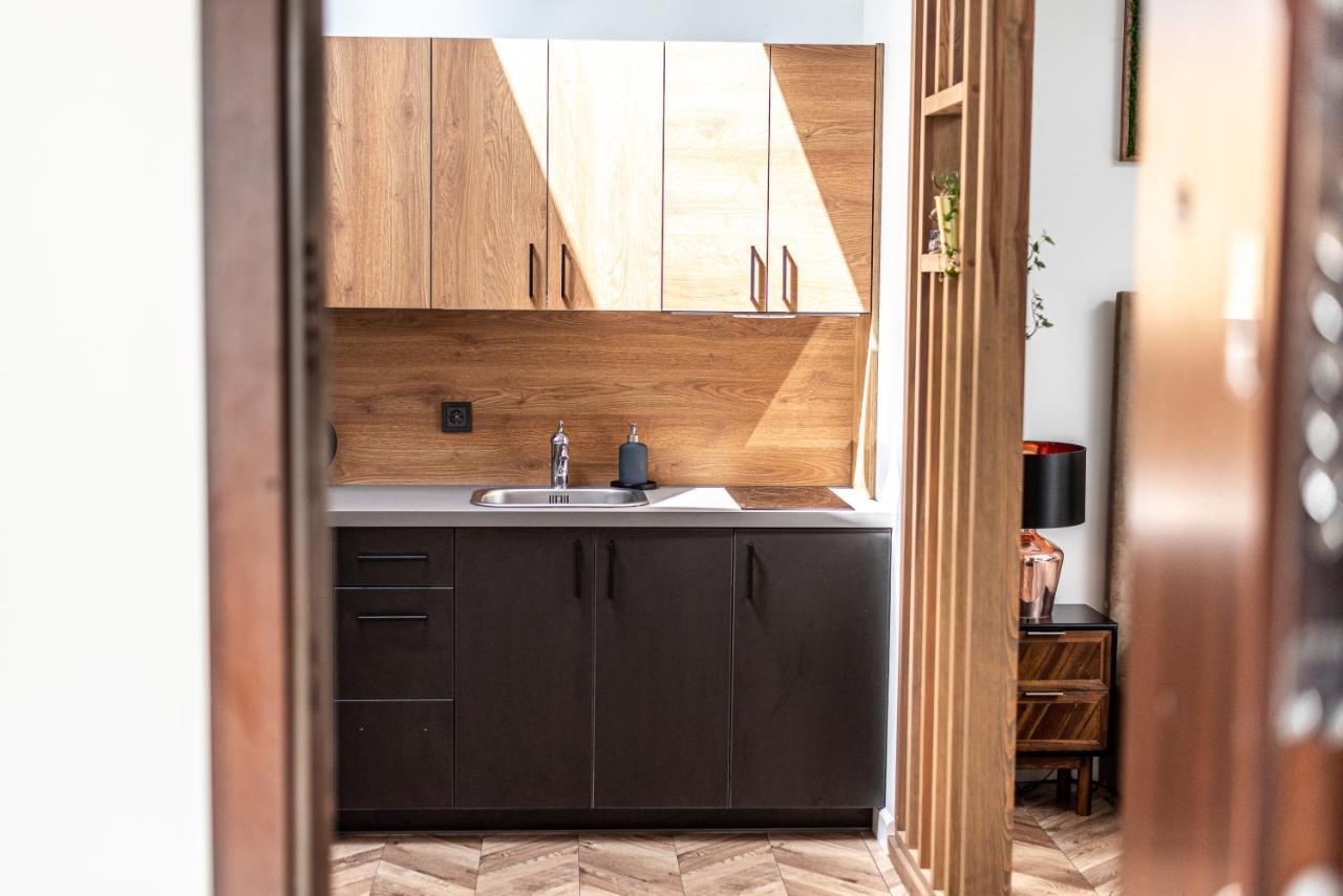 Apartment Sun Lighted Cathedral Square Studio Vilnius